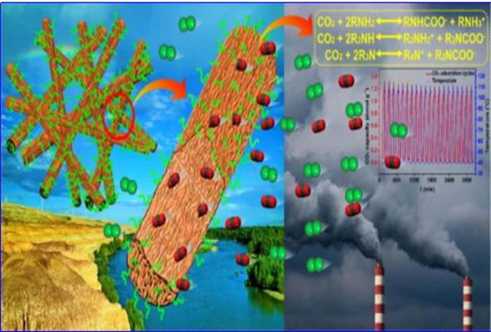 La relación entre la membrana y el CO2.